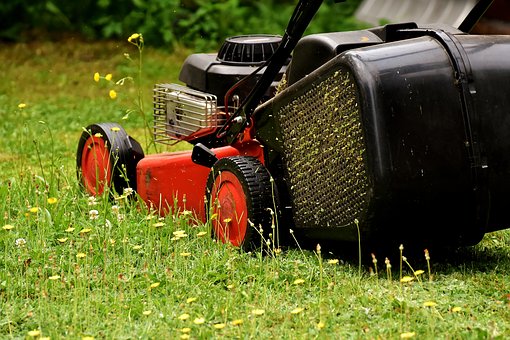 Lawn Mower, Mow, Lawn Mowing, Green