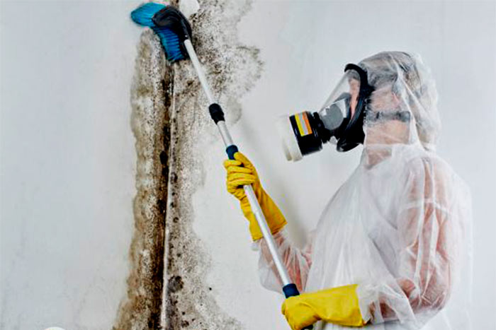 Level 5 Mold Remediation prof cleaning