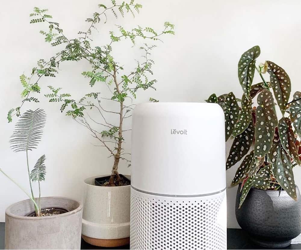 Is it worth it to have an air purifier