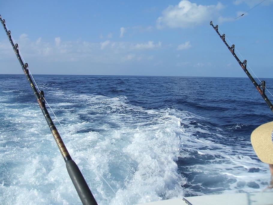 Pensacola fishing charters
